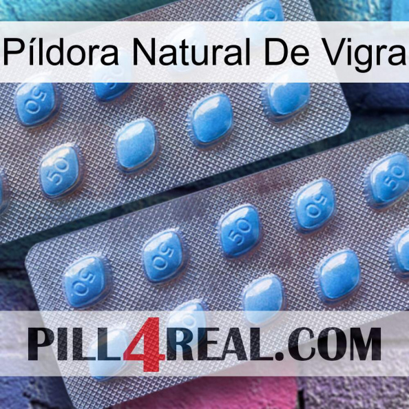 Píldora Natural De Vigra viagra4.jpg